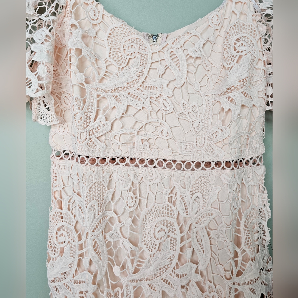 Lulus Briarwood Blush Pink Lace Short-Sleeve Trumpet Hem Ruffled Midi Dress - Picture 10 of 17